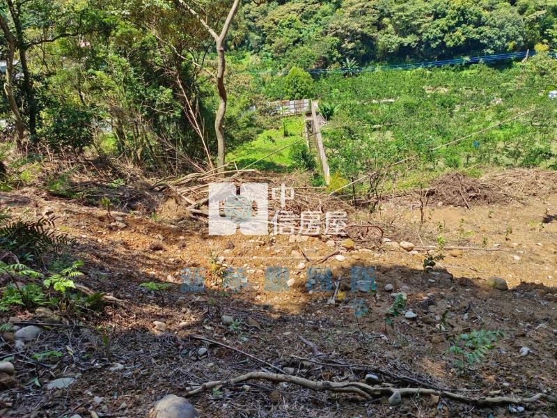 【新夢想】新竹關西820坪農舍用農地房屋室內格局與周邊環境