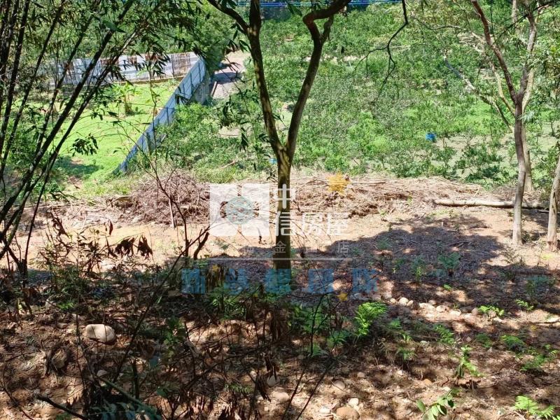 【新夢想】新竹關西820坪農舍用農地房屋室內格局與周邊環境