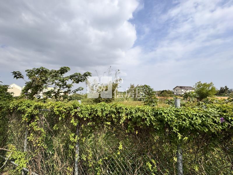 平鎮賦北段都內農地房屋室內格局與周邊環境