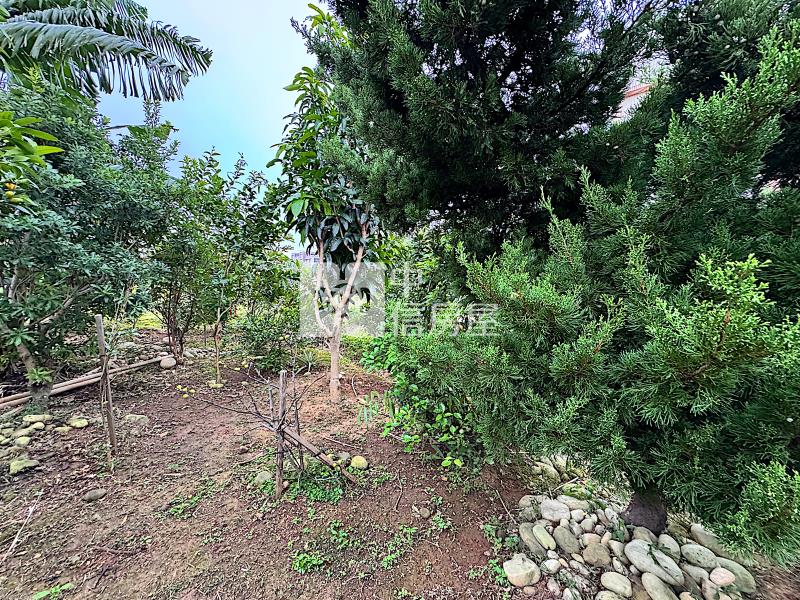 中壢萬能好用都內農房屋室內格局與周邊環境