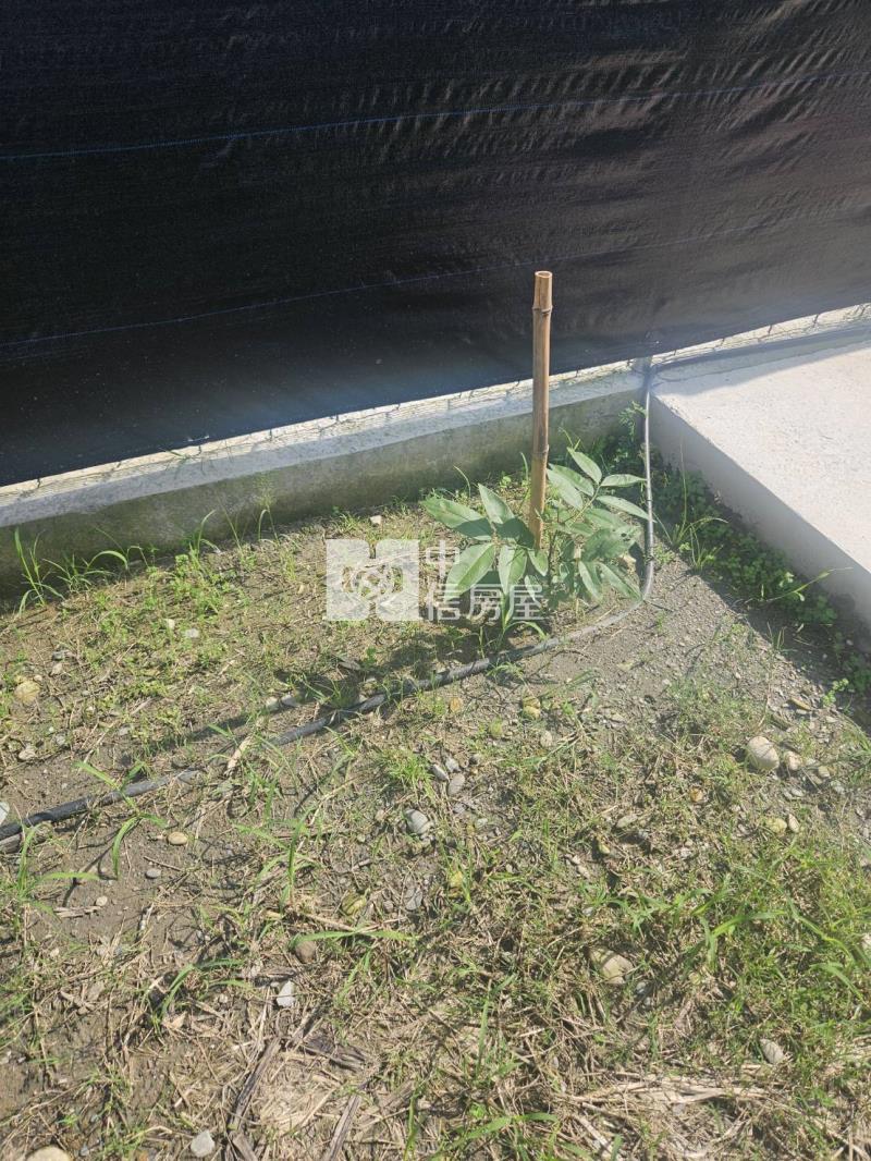 屏東內埔休閒農地D房屋室內格局與周邊環境