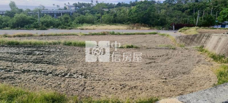 金樽依山傍海稀有農地-泰山18甲店房屋室內格局與周邊環境