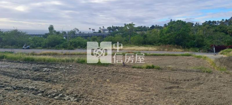 金樽依山傍海稀有農地-泰山18甲店房屋室內格局與周邊環境