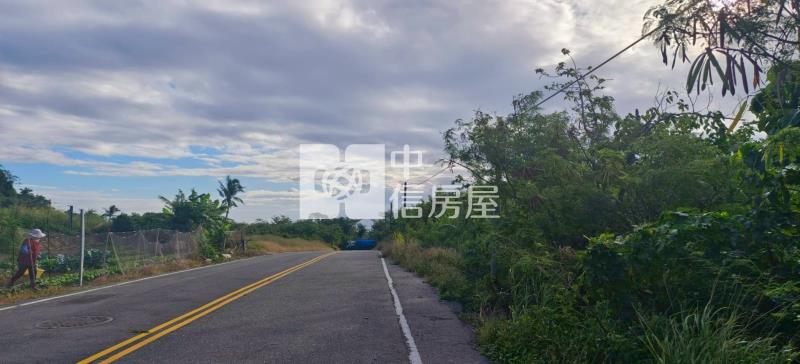 金樽依山傍海稀有農地-泰山18甲店房屋室內格局與周邊環境