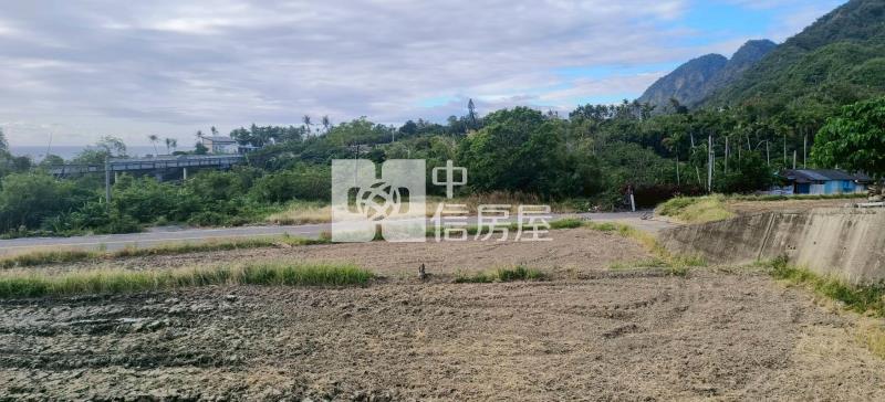 金樽依山傍海稀有農地-泰山18甲店房屋室內格局與周邊環境