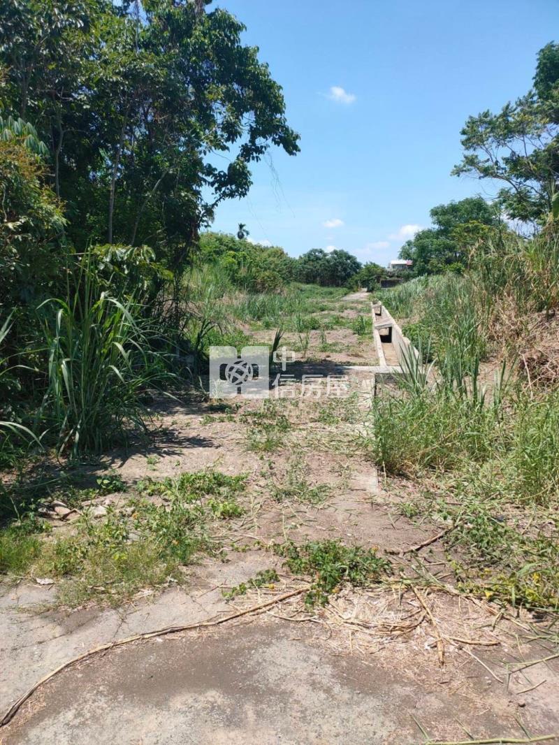 斗六黑松汽水廠旁低總價農地房屋室內格局與周邊環境