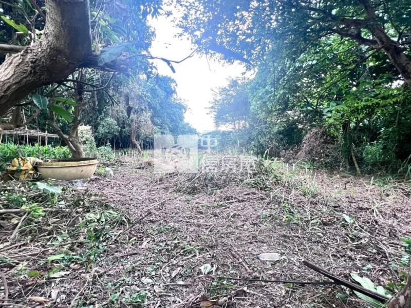 斗六黑松汽水廠旁低總價農地房屋室內格局與周邊環境