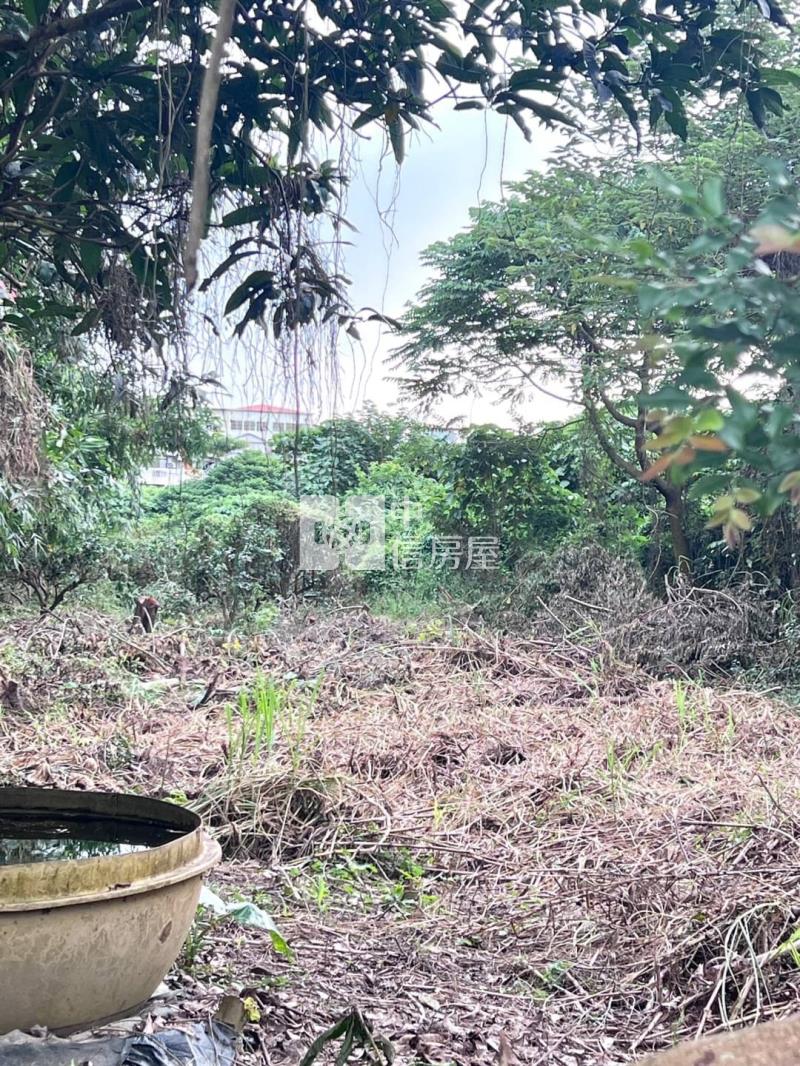 斗六黑松汽水廠旁低總價農地房屋室內格局與周邊環境