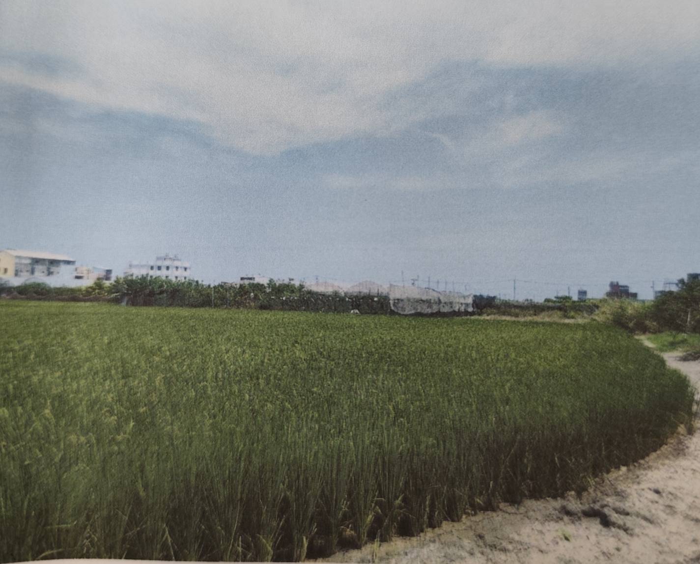 5X39員林交流道旁農地房屋室內格局與周邊環境