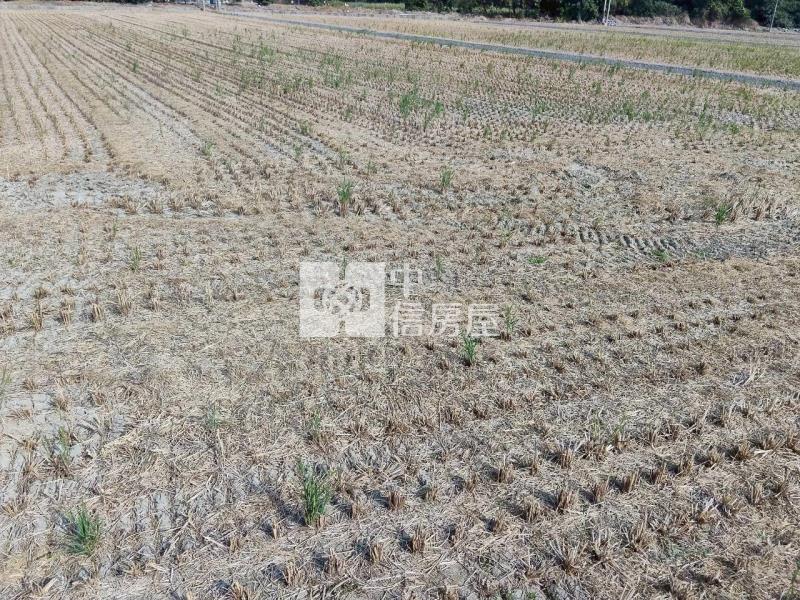 斗六久安2分5方正農地房屋室內格局與周邊環境