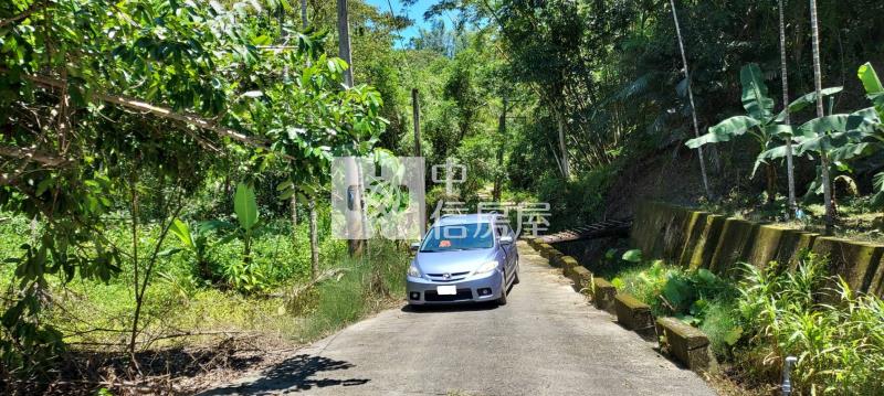 南投中寮龍眼林段山坡地房屋室內格局與周邊環境