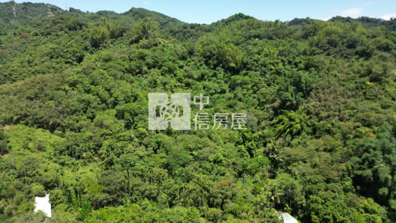 南投中寮龍眼林段山坡地房屋室內格局與周邊環境