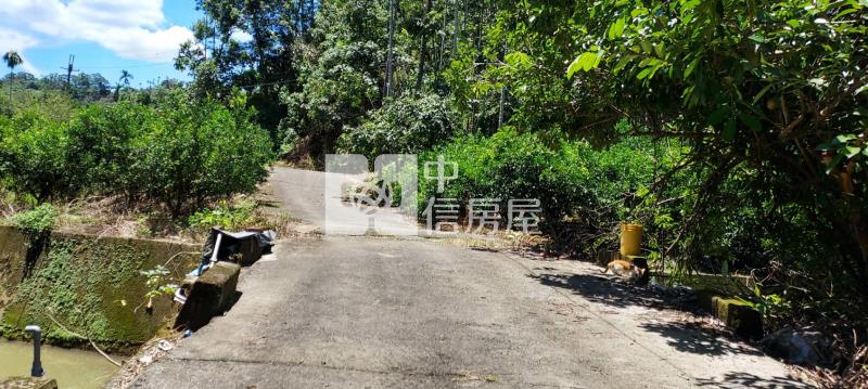 南投中寮龍眼林段山坡地房屋室內格局與周邊環境