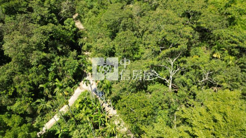 南投中寮龍眼林段山坡地房屋室內格局與周邊環境