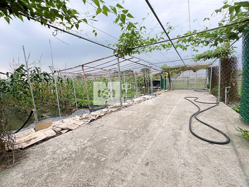 屏東土地-鹽埔-開心農場屋房屋室內格局與周邊環境