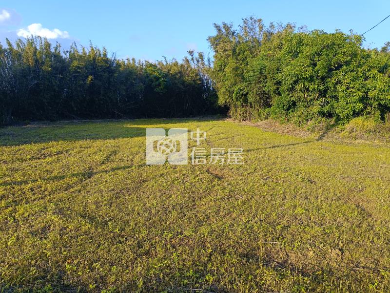 大坡國小資材室房屋室內格局與周邊環境