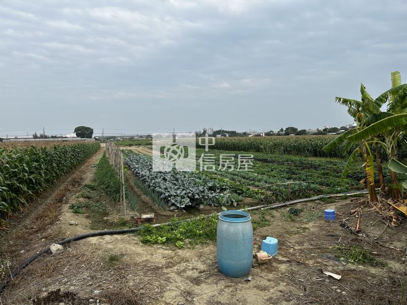 善化臨大馬路未來可期之農地房屋室內格局與周邊環境