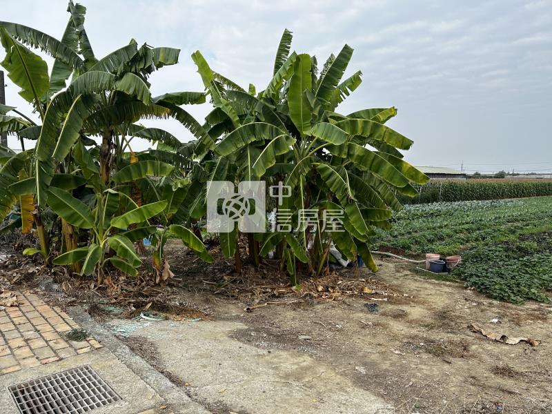 善化臨大馬路未來可期之農地房屋室內格局與周邊環境