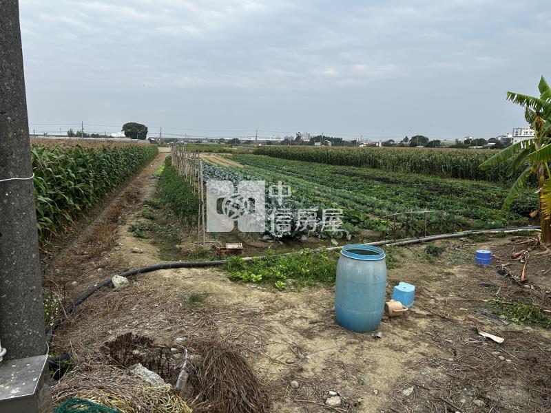 善化臨大馬路未來可期之農地房屋室內格局與周邊環境
