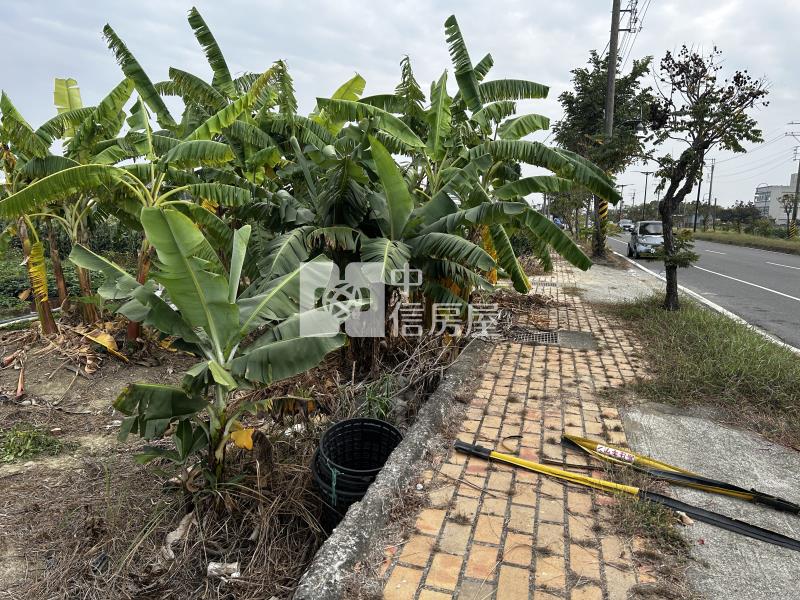 善化臨大馬路未來可期之農地房屋室內格局與周邊環境