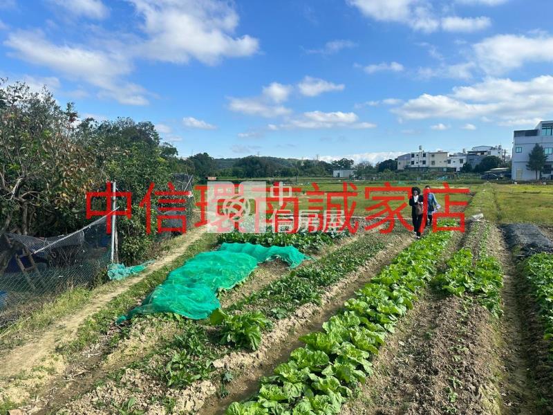 近水美國小農地房屋室內格局與周邊環境