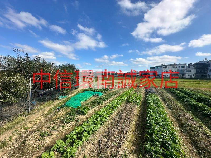 近水美國小農地房屋室內格局與周邊環境