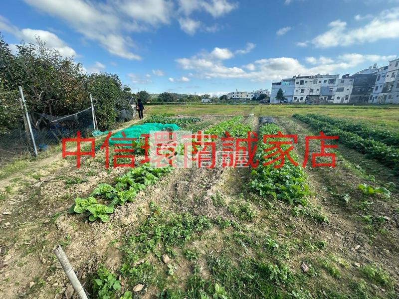 近水美國小農地房屋室內格局與周邊環境