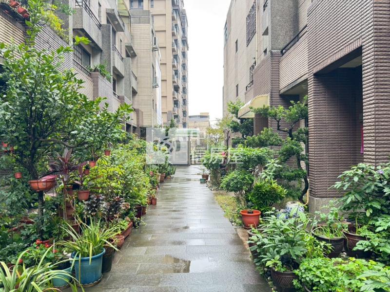 平興國小金店面房屋室內格局與周邊環境