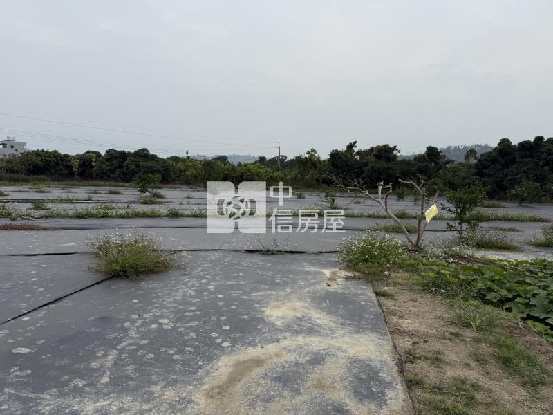 老叢芒果園農場房屋室內格局與周邊環境