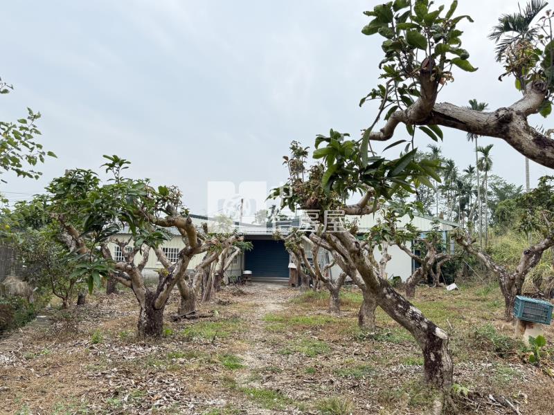 老叢芒果園農場房屋室內格局與周邊環境