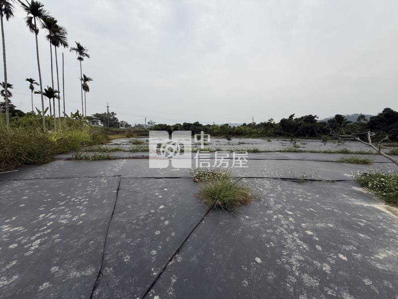 老叢芒果園農場房屋室內格局與周邊環境