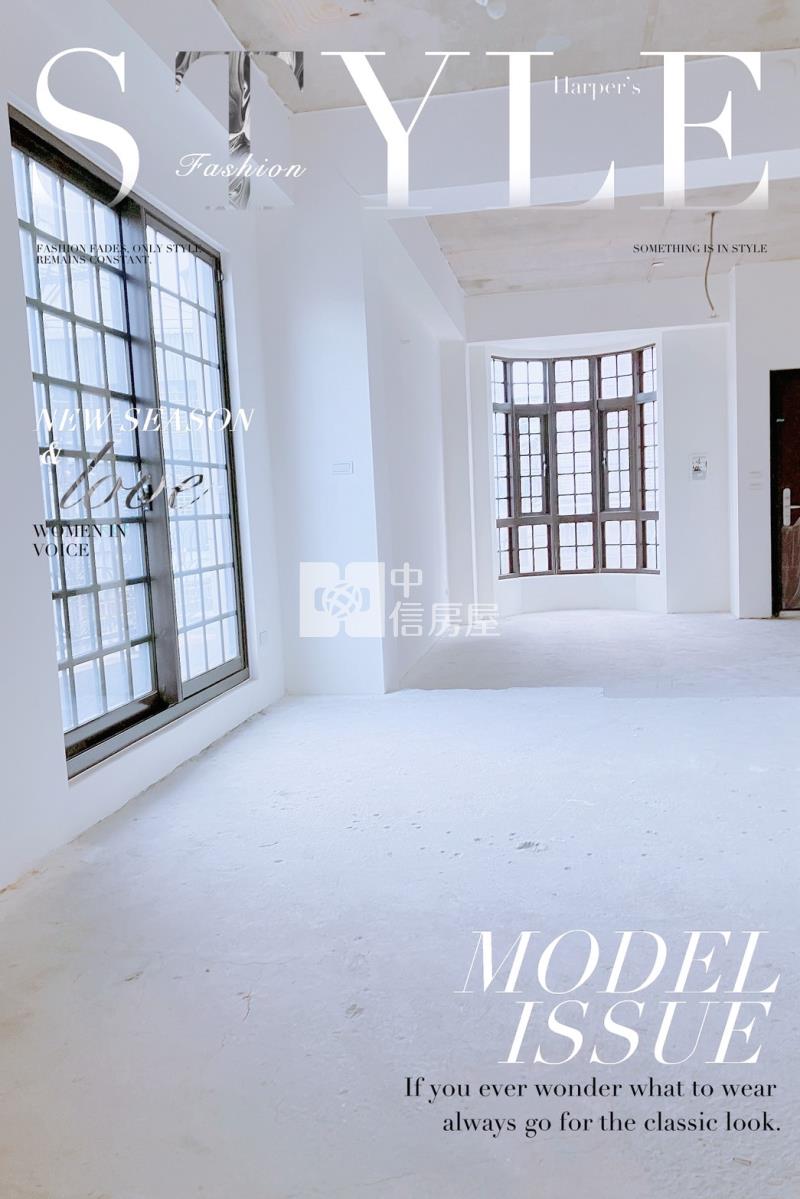 八德超值百坪豪華電梯別墅房屋室內格局與周邊環境