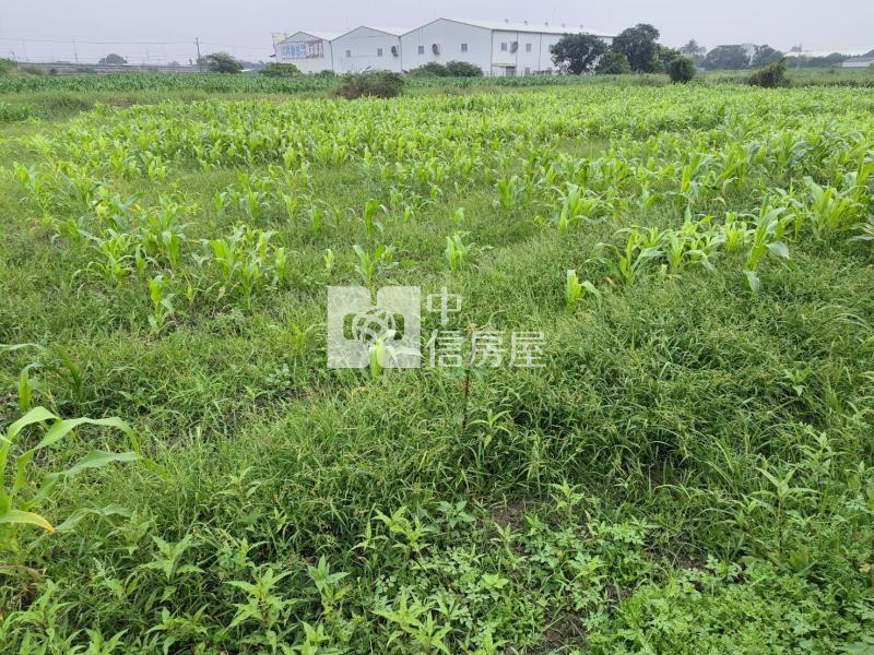 仁德崑崙路可投資農地房屋室內格局與周邊環境