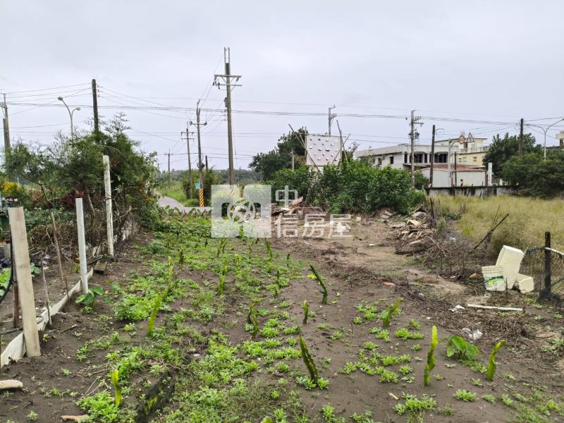 D246壯圍濱海正大路邊溫室農地房屋室內格局與周邊環境