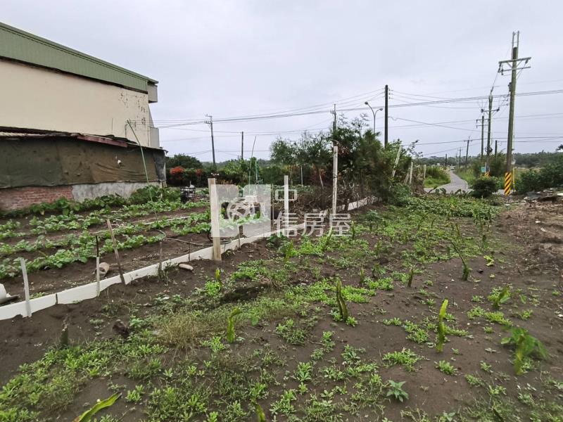 D246壯圍濱海正大路邊溫室農地房屋室內格局與周邊環境
