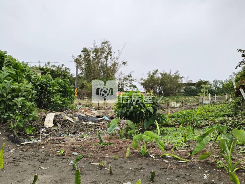 D246壯圍濱海正大路邊溫室農地房屋室內格局與周邊環境