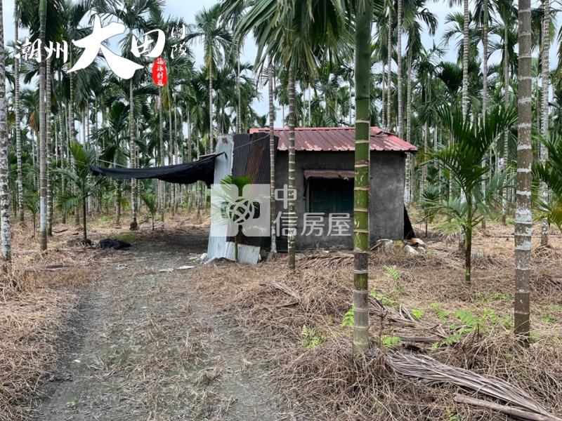 東片村邊農地房屋室內格局與周邊環境