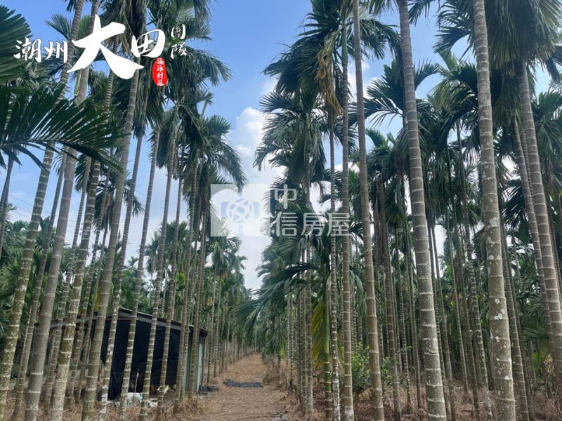 東片村邊農地房屋室內格局與周邊環境