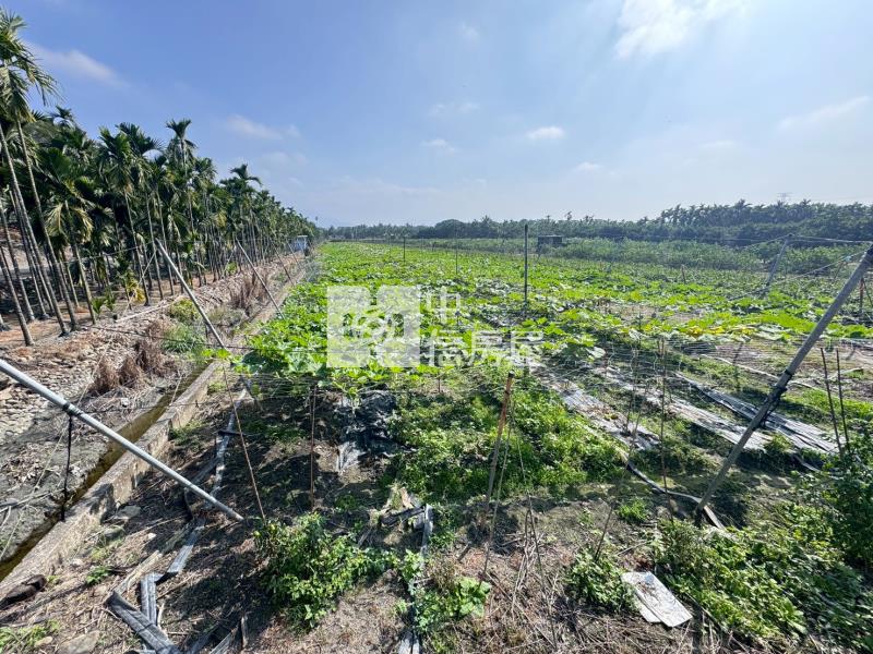 鹽埔南華大橋河岸美農地*專約*房屋室內格局與周邊環境