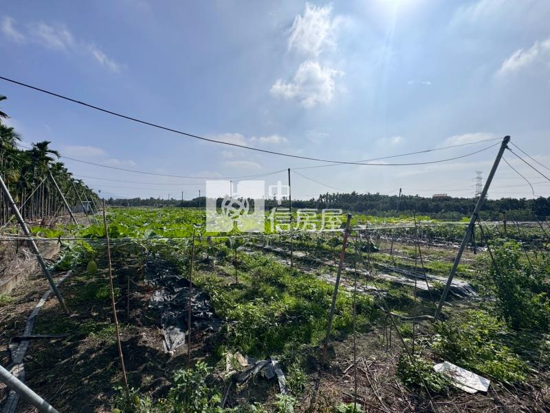 鹽埔南華大橋河岸美農地*專約*房屋室內格局與周邊環境