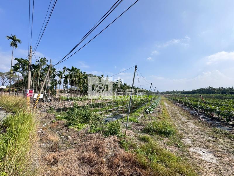 鹽埔南華大橋河岸美農地*專約*房屋室內格局與周邊環境