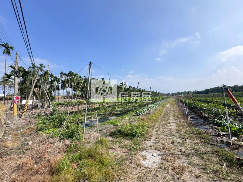 鹽埔南華大橋河岸美農地*專約*房屋室內格局與周邊環境
