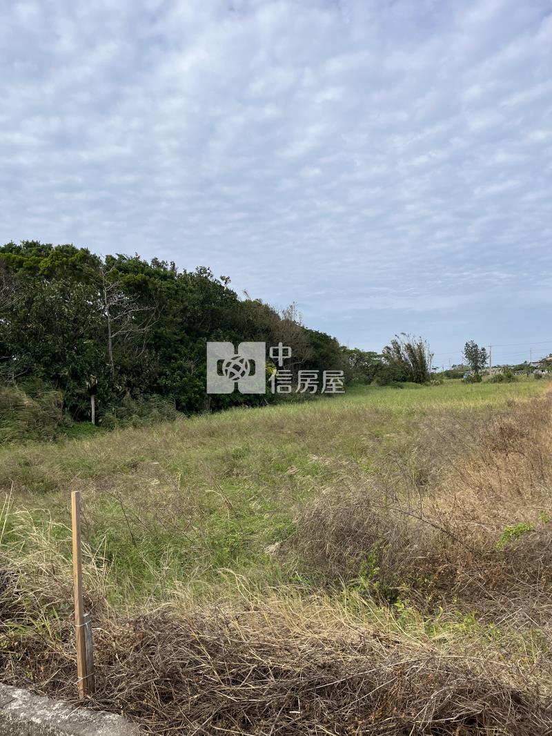 觀音鄉新興路旁美農地房屋室內格局與周邊環境