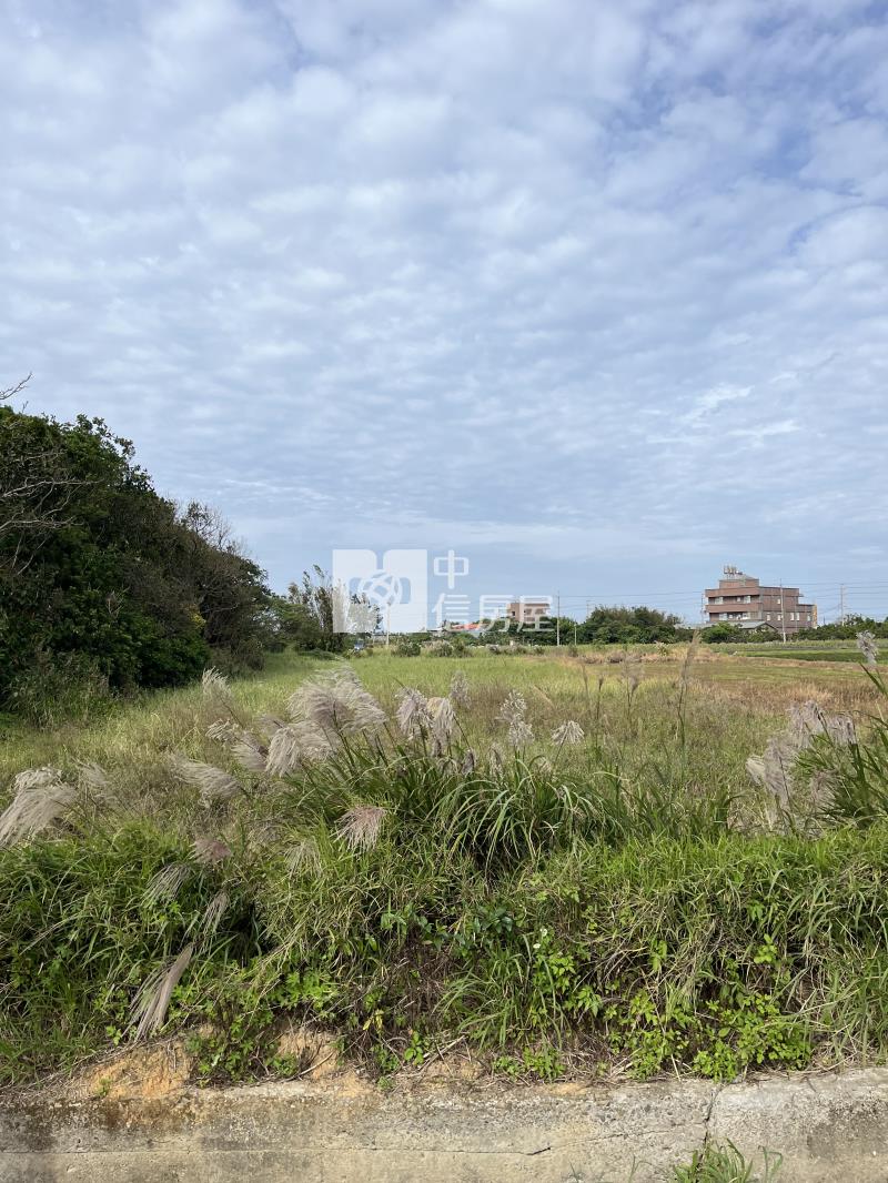 觀音鄉新興路旁美農地房屋室內格局與周邊環境