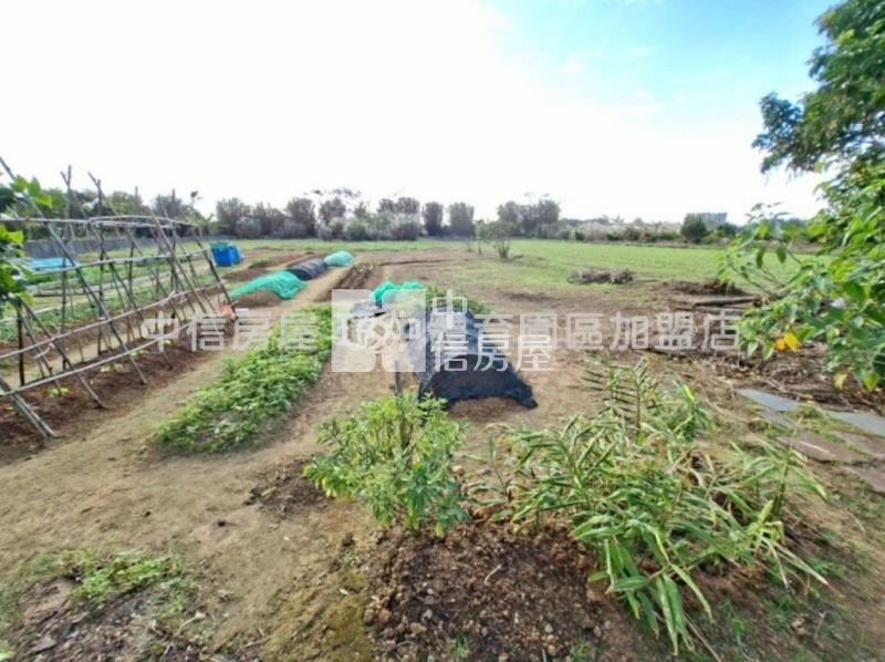 觀音忠愛莊合法農舍房屋室內格局與周邊環境