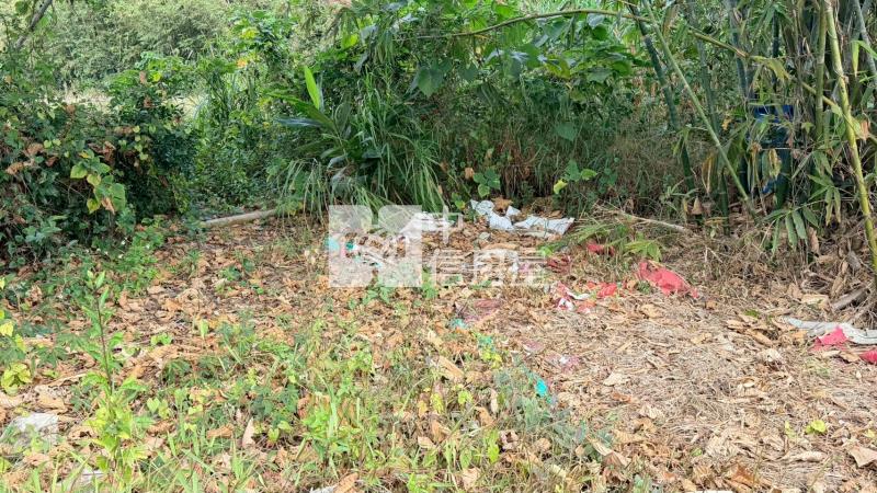 歸仁高發段大面積農地 長期佈局首選房屋室內格局與周邊環境