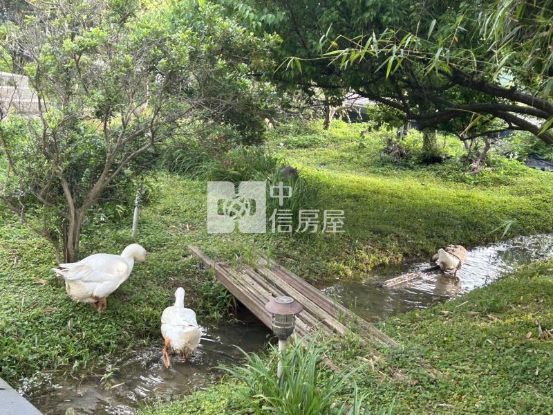 觀音區66旁下青埔段特農+資材室房屋室內格局與周邊環境