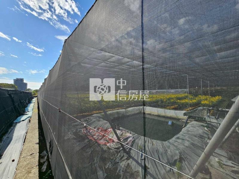 正后科旁大地坪角地(專)房屋室內格局與周邊環境