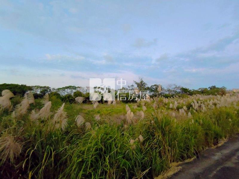 興南重劃區旁都內農房屋室內格局與周邊環境