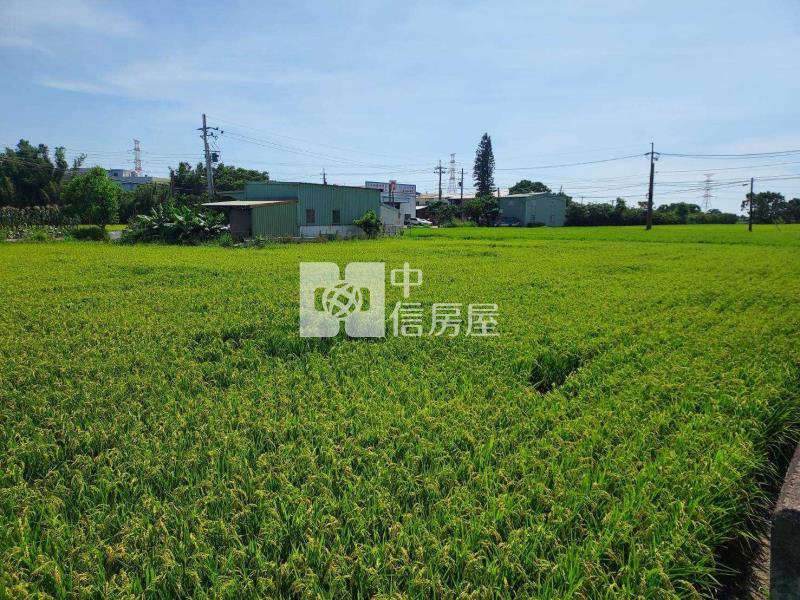 (專)新屋東明國小合法資材室房屋室內格局與周邊環境